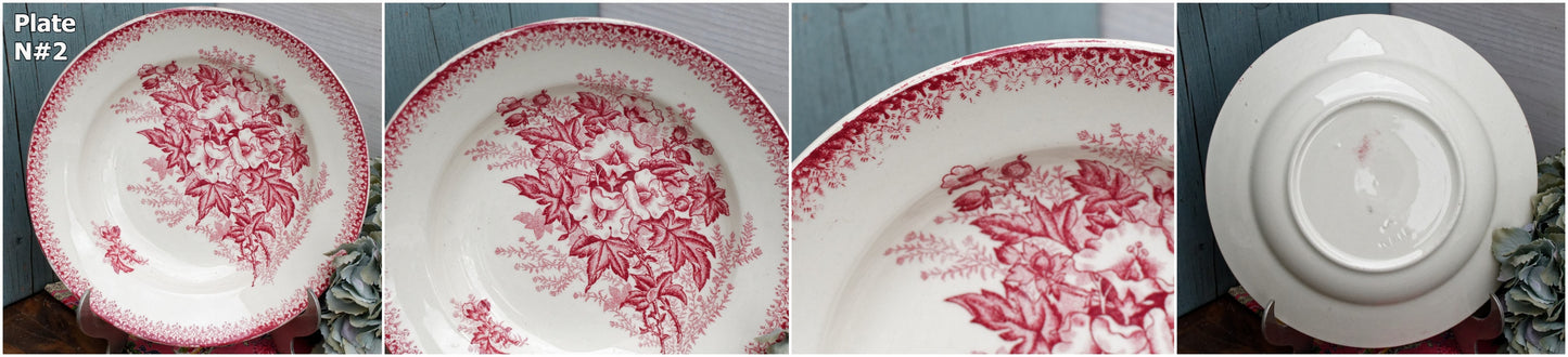 French Ironstone Red Transferware Soup Plate Eglantines ONNAING terre de fer en faience