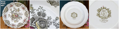 1960s ~ "WINDSOR" Ridgway of STAFFORDSHIRE England 1792 ~ English Vintage Ironstone Porcelain Plate LOT 2