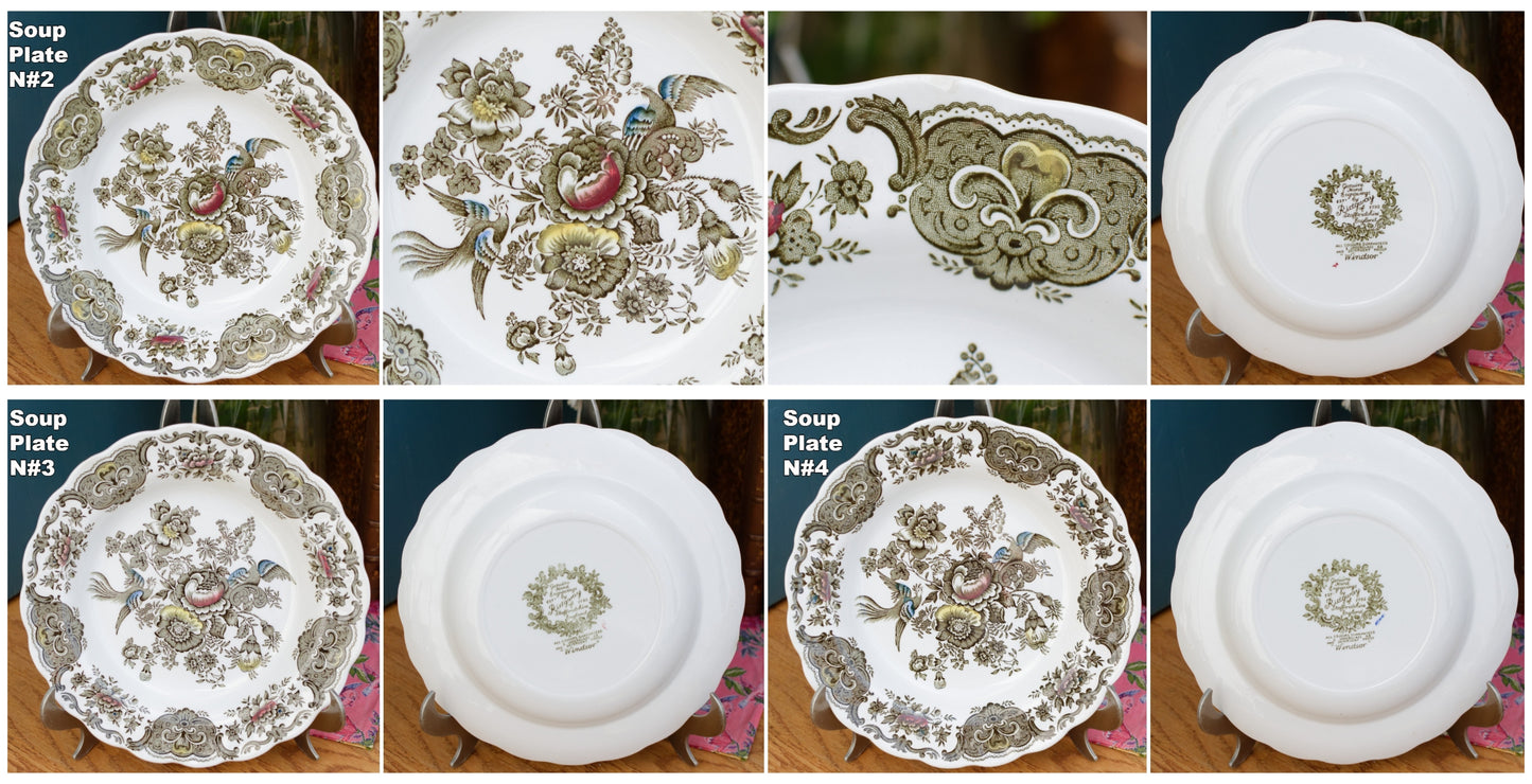 1960s ~ "WINDSOR" Ridgway of STAFFORDSHIRE England 1792 ~ English Vintage Ironstone Porcelain Plate LOT 2