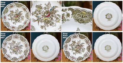 1960s ~ "WINDSOR" Ridgway of STAFFORDSHIRE England 1792 ~ English Vintage Ironstone Porcelain Plate LOT 2