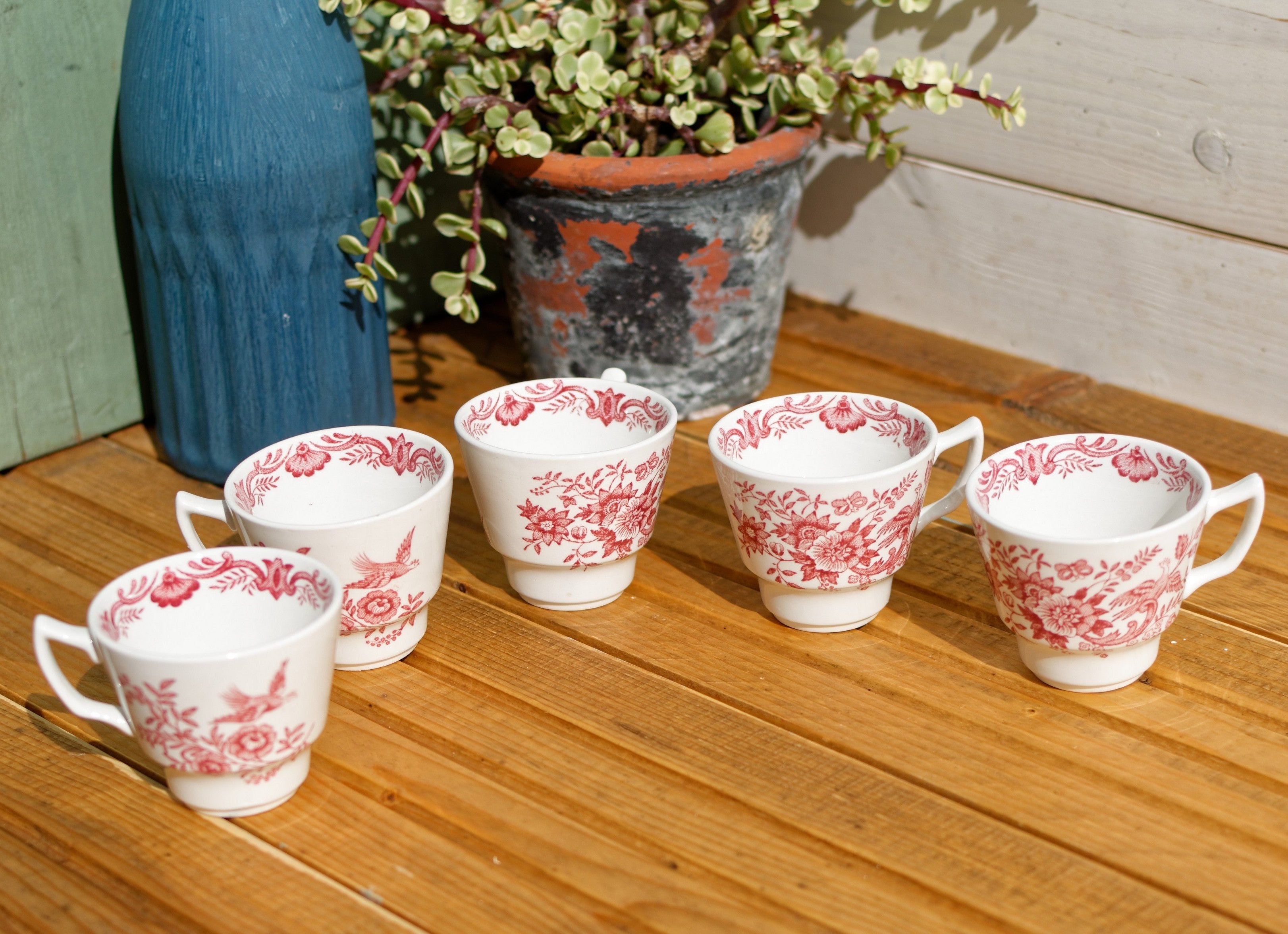 Niderviller 5 coffee cups, sub-cups and selling sugar bowl in stoneware from the 60s France