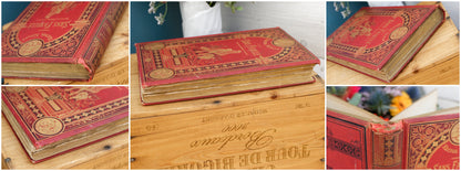 1880 Sans Famille (couronne pas l’académie Français) Hector Malot French Antique Collectible Gilded Cartonnage Book Novel Livre Roman