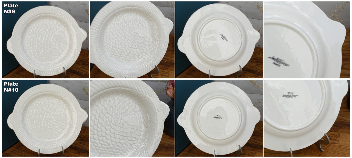 1930s SARREGUEMINES France French Vintage Fish Shaped Plate White Carp BARBOTINE Majolica en Faience Terre de Fer