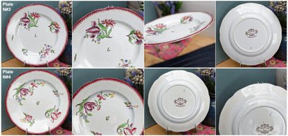 French Ironstone Salad Plate Strasbourg FRANCE Sarreguemines Terre de Fer