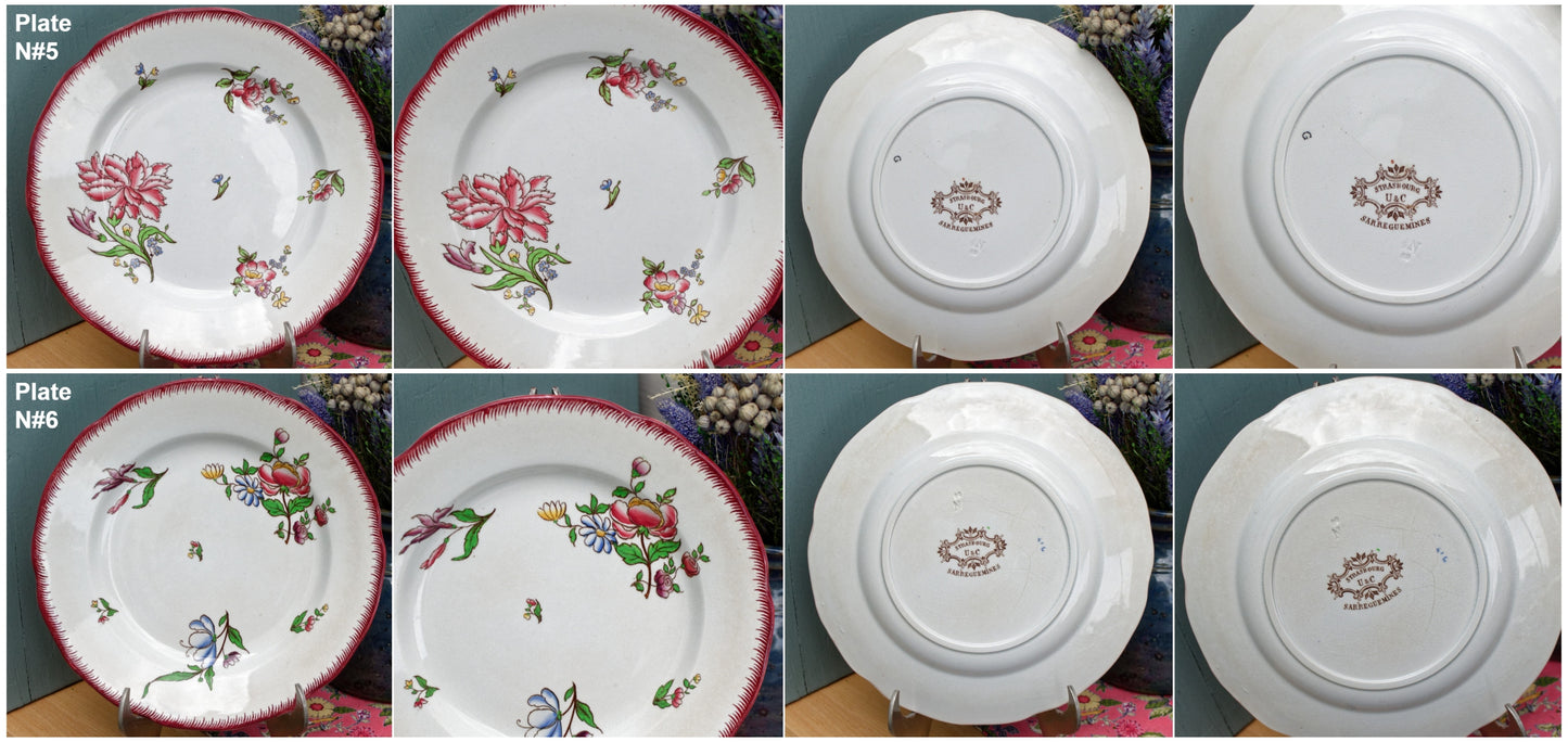 French Ironstone Salad Plate Strasbourg FRANCE Sarreguemines Terre de Fer