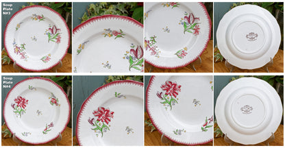 STRASBOURG Motif SARREGUEMINES French Antique Hand-Painted Ironstone Plate Terre de Fer en faience