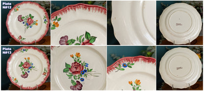 Trianon Faienceries de LONGCHAMP Tout a la Main French Antique Hand-Painted Ironstone Polychrome Dinner Plate Terre de fer en Faience