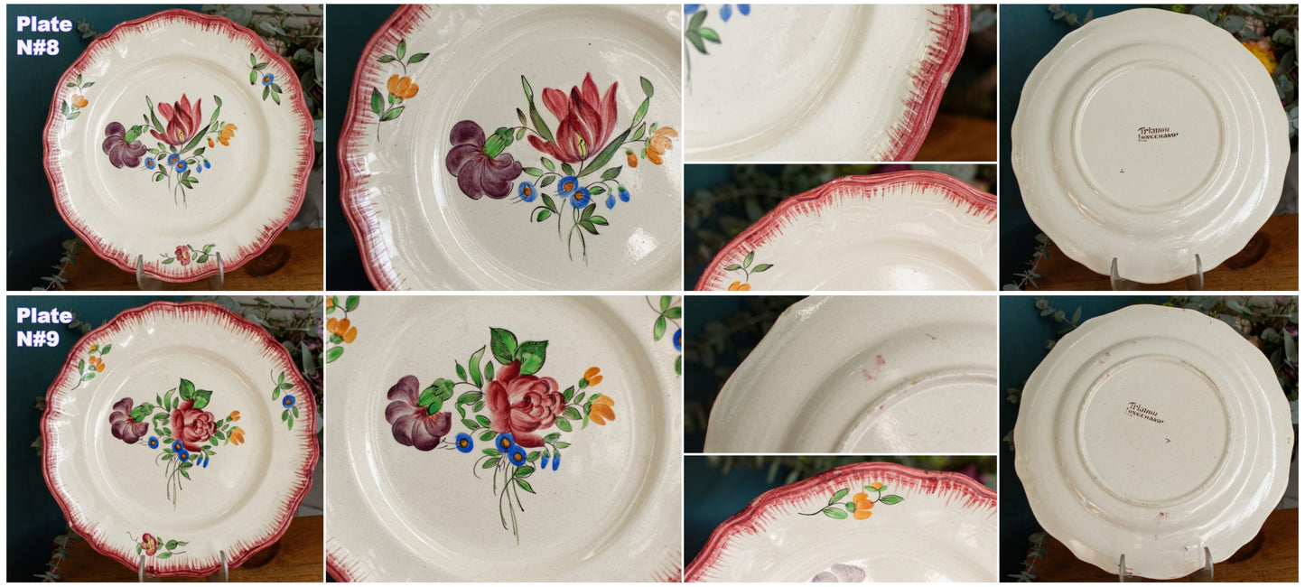 Trianon Faienceries de LONGCHAMP Tout a la Main French Antique Hand-Painted Ironstone Polychrome Dinner Plate Terre de fer en Faience