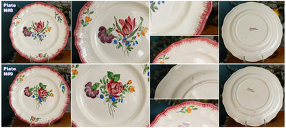 Trianon Faienceries de LONGCHAMP Tout a la Main French Antique Hand-Painted Ironstone Polychrome Dinner Plate Terre de fer en Faience