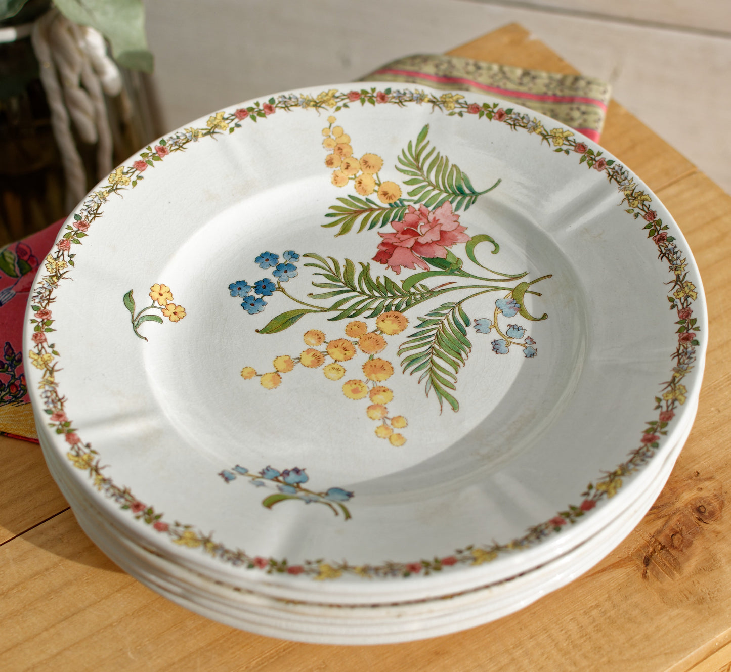 French Ironstone Floral Polychrome Plate Venonique U&C Sarreguemines Terre de Fer Faience