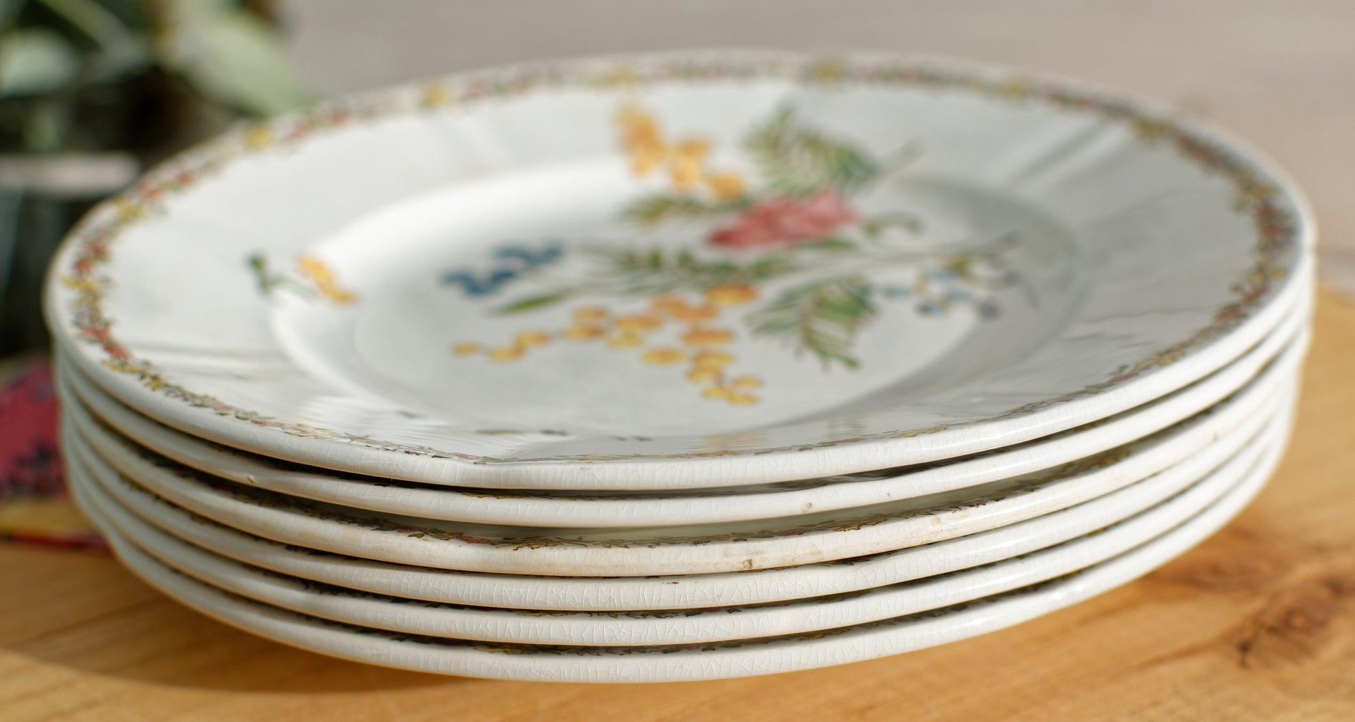 French Ironstone Floral Polychrome Plate Venonique U&C Sarreguemines Terre de Fer Faience