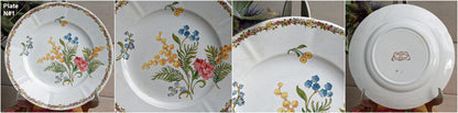 French Ironstone Floral Polychrome Plate Venonique U&C Sarreguemines Terre de Fer Faience