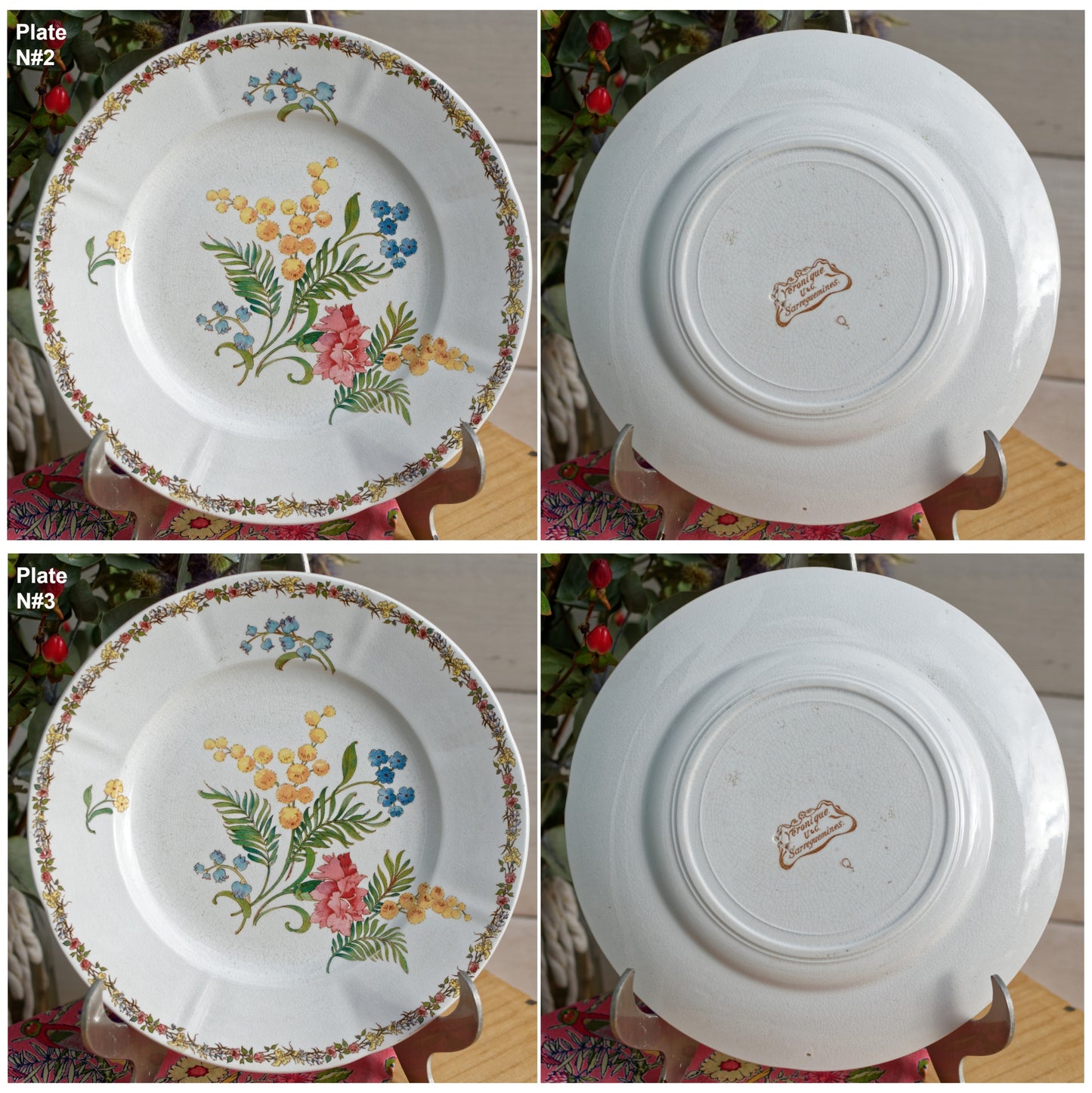 French Ironstone Floral Polychrome Plate Venonique U&C Sarreguemines Terre de Fer Faience