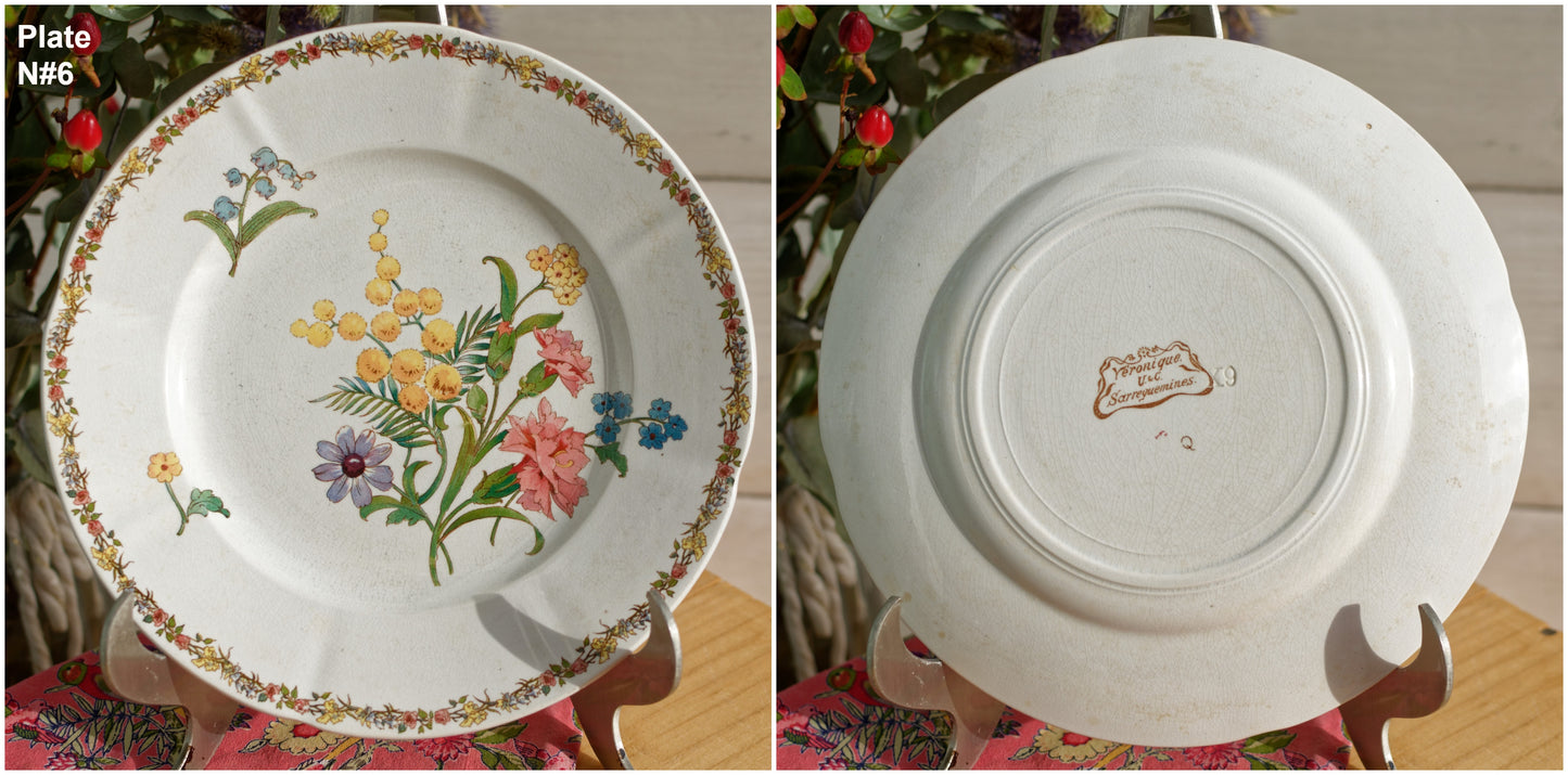 French Ironstone Floral Polychrome Plate Venonique U&C Sarreguemines Terre de Fer Faience