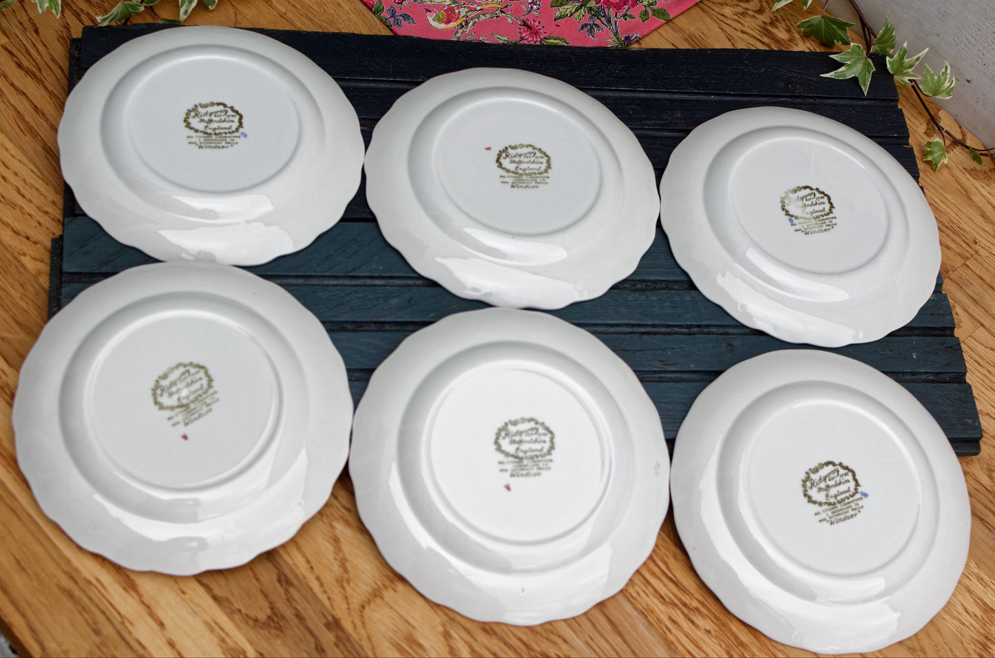 1960s ~ "WINDSOR" Ridgway of STAFFORDSHIRE England 1792 ~ English Vintage Ironstone Porcelain Plate LOT 1