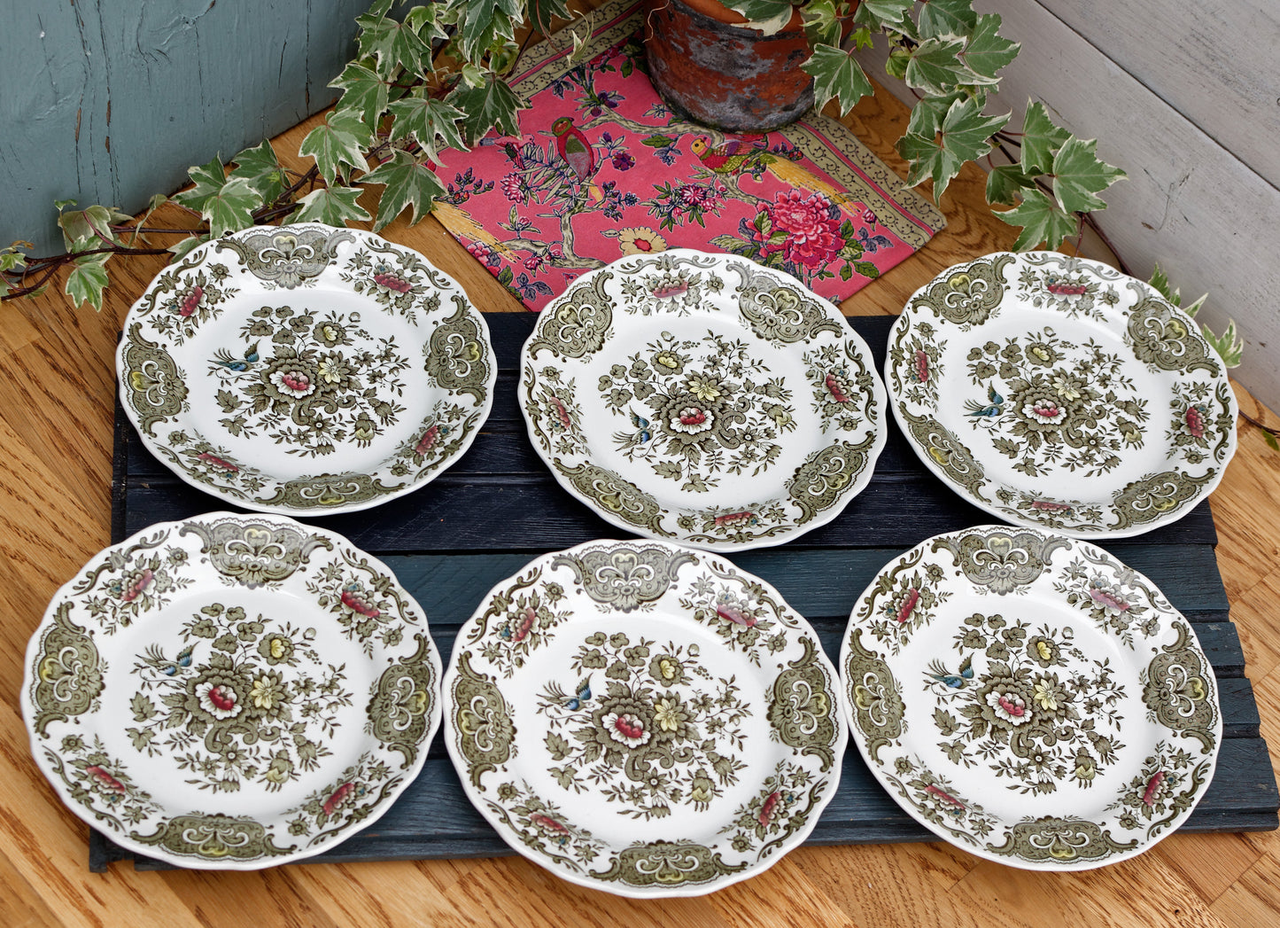 1960s ~ "WINDSOR" Ridgway of STAFFORDSHIRE England 1792 ~ English Vintage Ironstone Porcelain Plate LOT 1