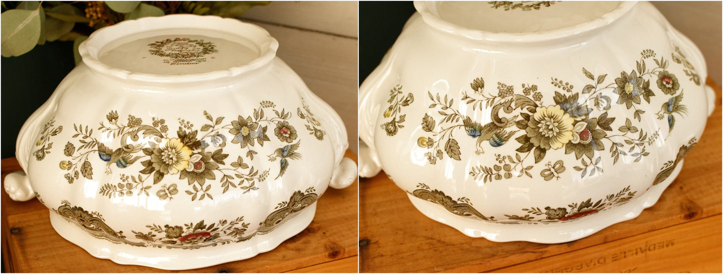 1960s ~ "WINDSOR" Ridgway of STAFFORDSHIRE England 1792 ~ English Vintage Ironstone Porcelain Soup Tureen Covered Serving Piece