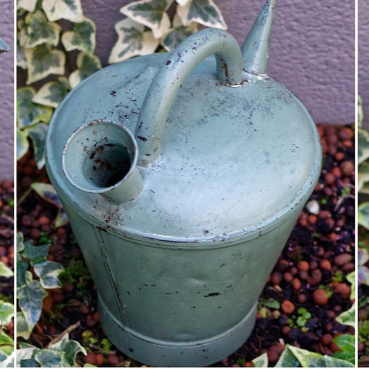 French Antique Galvanized Metal Canister Watering Can Home Decor