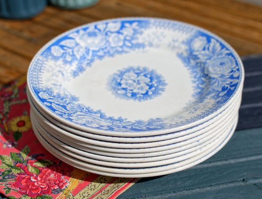 1890s ~ "JARDINIERE" Sarreguemines U&C ~ French Antique Ironstone Blue Transferware Small Plate ~ 2 patterns ~ Terre de Fer Faience