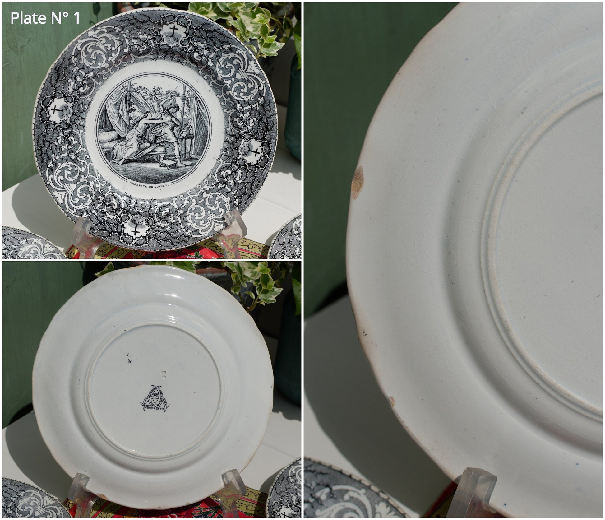 French Ironstone Talking Plate J. VIEILLARD & Co Porcelaine, Bordeaux Poterie, D. Johnson Gres Terre de Fer