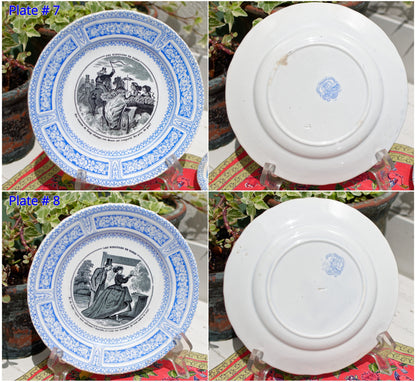 French Ironstone Talking Plate Les Ridicule de Paris J. VIEILLARD & Co Porcelaine, Bordeaux Poterie, D. Johnson Gres Terre de Fer