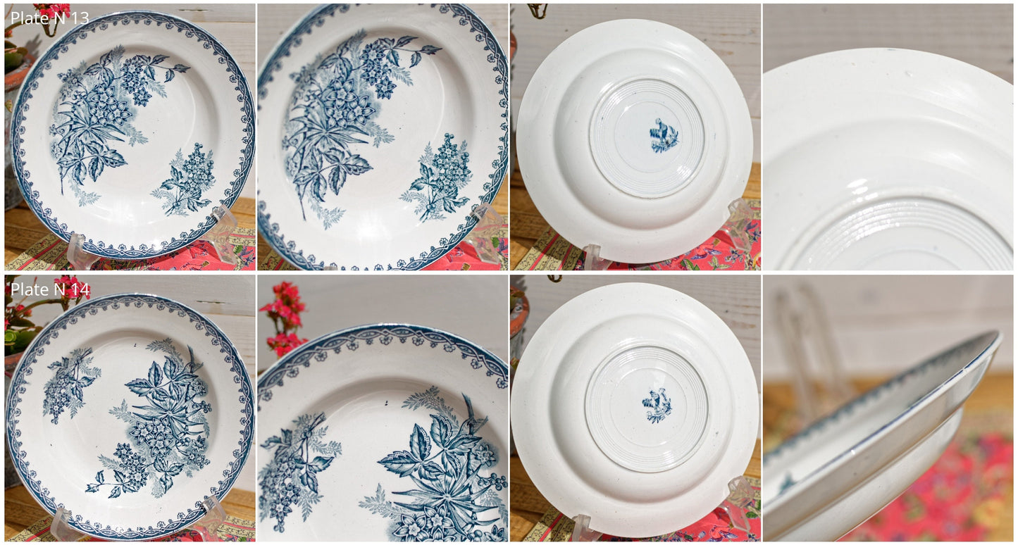 French Ironstone Blue Transferware Soup Plate MARGOT coq Ste Amandinoise St Amand France Terre de Fer