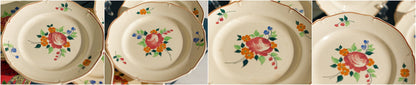 French Hand-Painted Ironstone Plate ST-AMAND Ste des Etablissement de Ceramique Made in France Terre de Fer