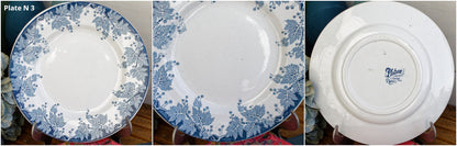 French Ironstone Blue Transferware Plate PLATANE Motif Ste Amand et Hamage Nord France Terre de Fer