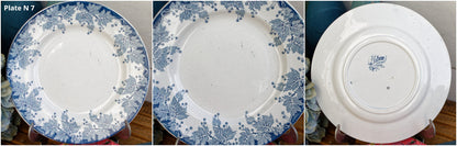 French Ironstone Blue Transferware Plate PLATANE Motif Ste Amand et Hamage Nord France Terre de Fer