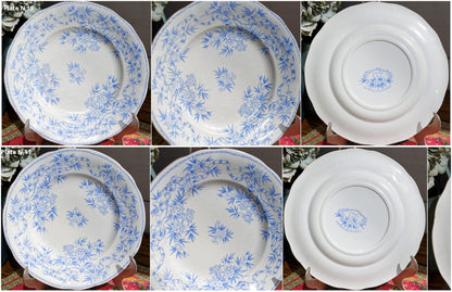 French Ironstone Lavender Transferware Plate EPINE Sarreguemines U&C France Terre de Fer