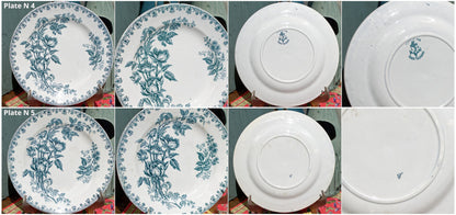 French Ironstone Blue Transferware Plate Terre de Fer Rose Trimiere LG Léon Graves Clairefontaine France