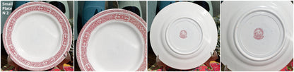 French Ironstone Red Transferware Plate Nouvelles Usines Ceramiques du Nord GABRIELLE France Terre de Fer