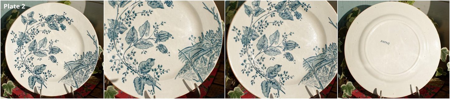 1800s ~French Antique Ironstone Blue TRANSFERWARE Dinner Plate ~ "BOUTRAS" Model ~ Made by Salins ~ Earthware ~ Terre de fer