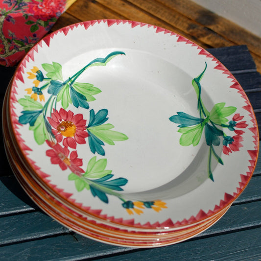 French Ironstone Hand-Painted Soup Plate Colmar Sarreguemines U&C Terre de Fer