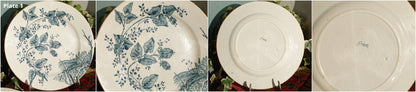 1800s ~French Antique Ironstone Blue TRANSFERWARE Dinner Plate ~ "BOUTRAS" Model ~ Made by Salins ~ Earthware ~ Terre de fer Media