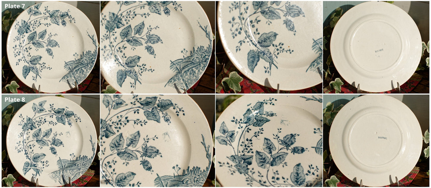 1800s ~French Antique Ironstone Blue TRANSFERWARE Dinner Plate ~ "BOUTRAS" Model ~ Made by Salins ~ Earthware ~ Terre de fer