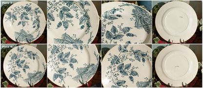 1800s ~French Antique Ironstone Blue TRANSFERWARE Dinner Plate ~ "BOUTRAS" Model ~ Made by Salins ~ Earthware ~ Terre de fer