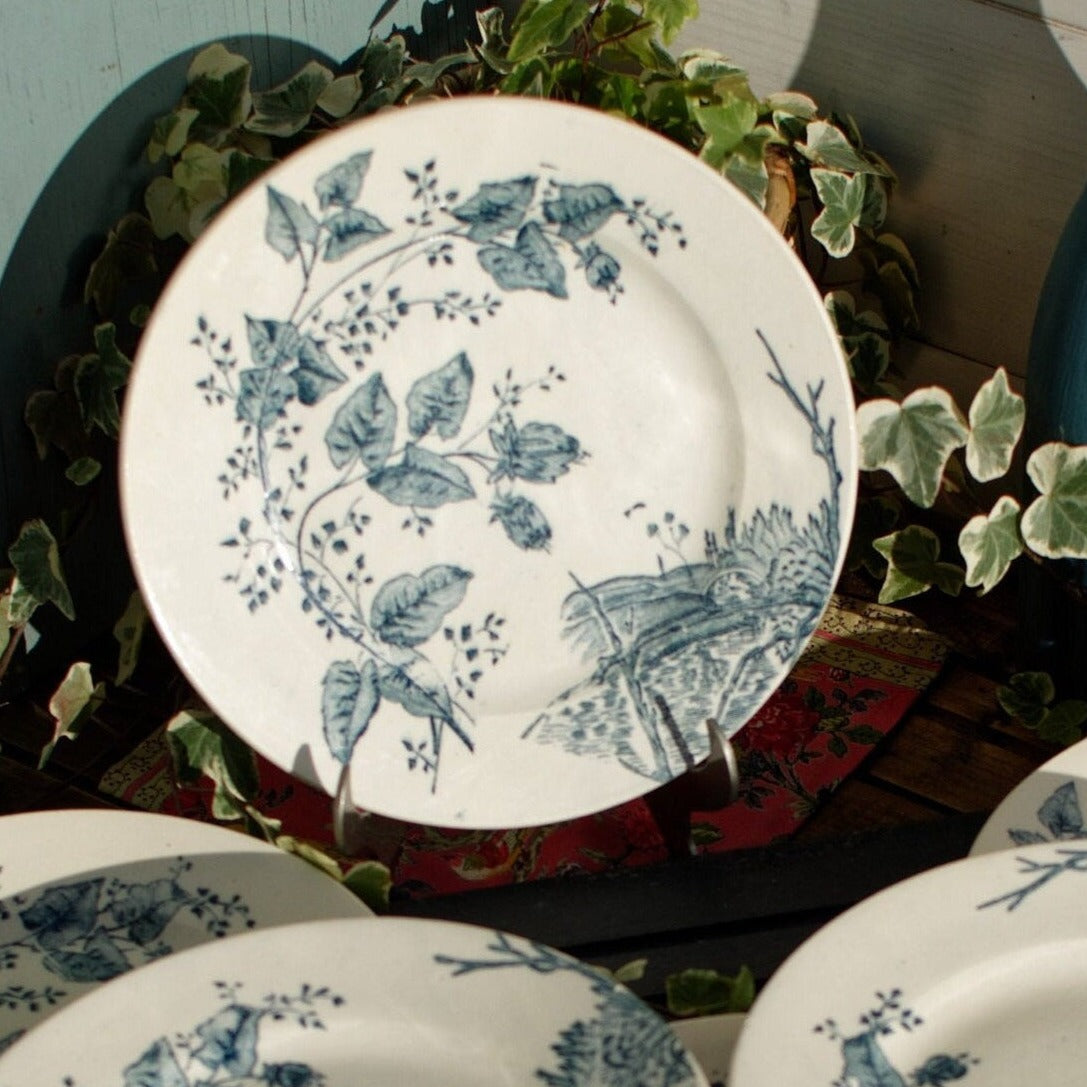 French Antique Ironstone Blue TRANSFERWARE Dinner Plate ~ "BOUTRAS" Model ~ Made by Salins ~ Earthware ~ Terre de fer