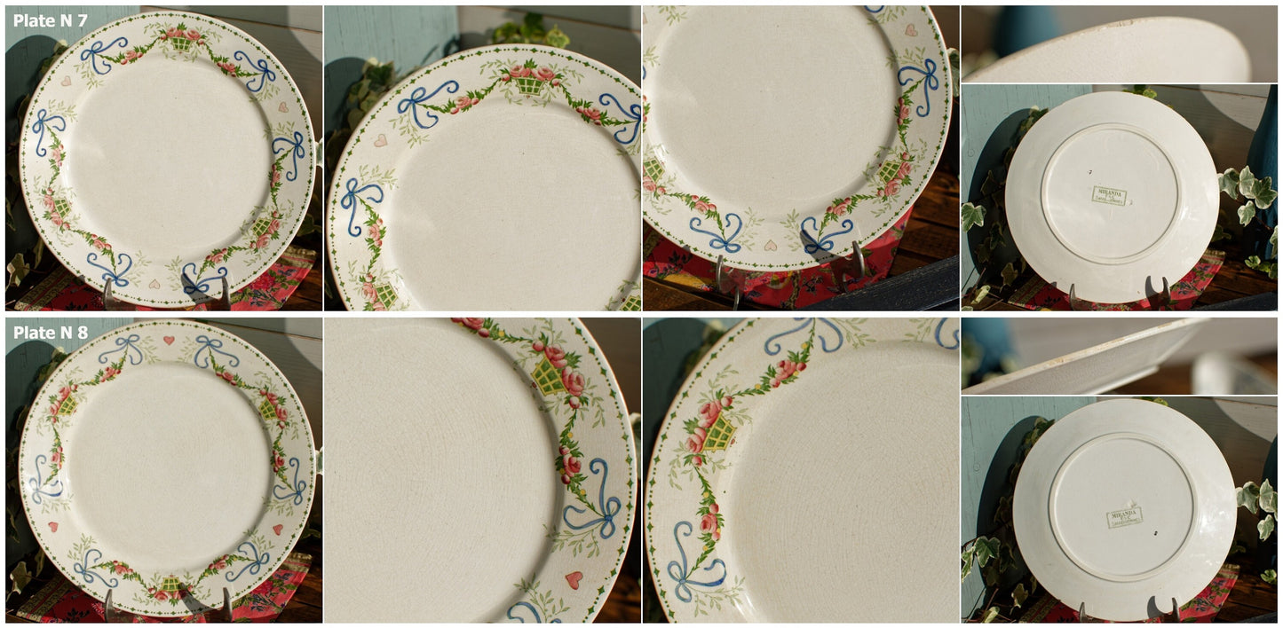 French Ironstone Plate Sarreguemines U&C Miranda Terre de Fer