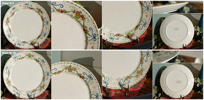 French Ironstone Plate Sarreguemines U&C Miranda Terre de Fer