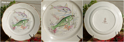 French Ironstone Fish Plate Sarreguemines & Digoin Veritable Opaque France Poisson de Mer Terre de Fer