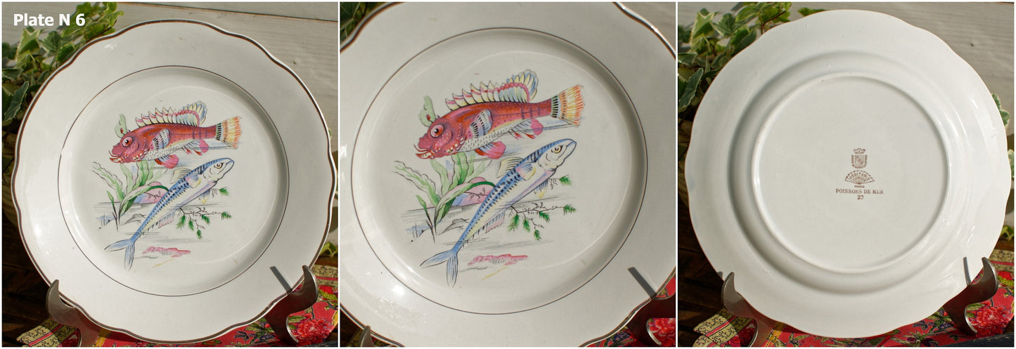 French Ironstone Fish Plate Sarreguemines & Digoin Veritable Opaque France Poisson de Mer Terre de Fer