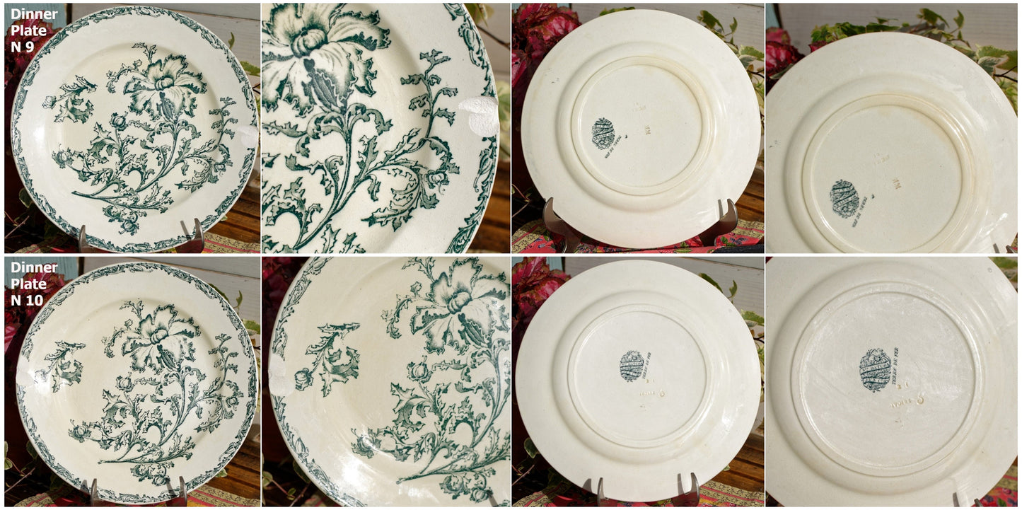 French Ironstone Green Transferware Dinner Plate Datura Bordeaux J.V & Cie JULES VIEILLARD Terre de Fer