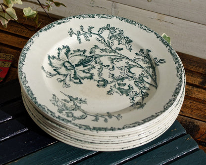 French Ironstone Green Transferware Dinner Plate Datura Bordeaux J.V & Cie JULES VIEILLARD Terre de Fer