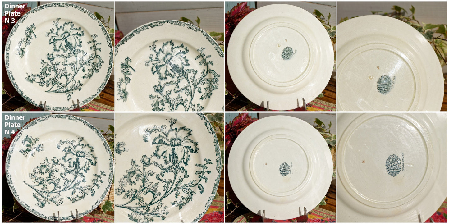 French Ironstone Green Transferware Dinner Plate Datura Bordeaux J.V & Cie JULES VIEILLARD Terre de Fer