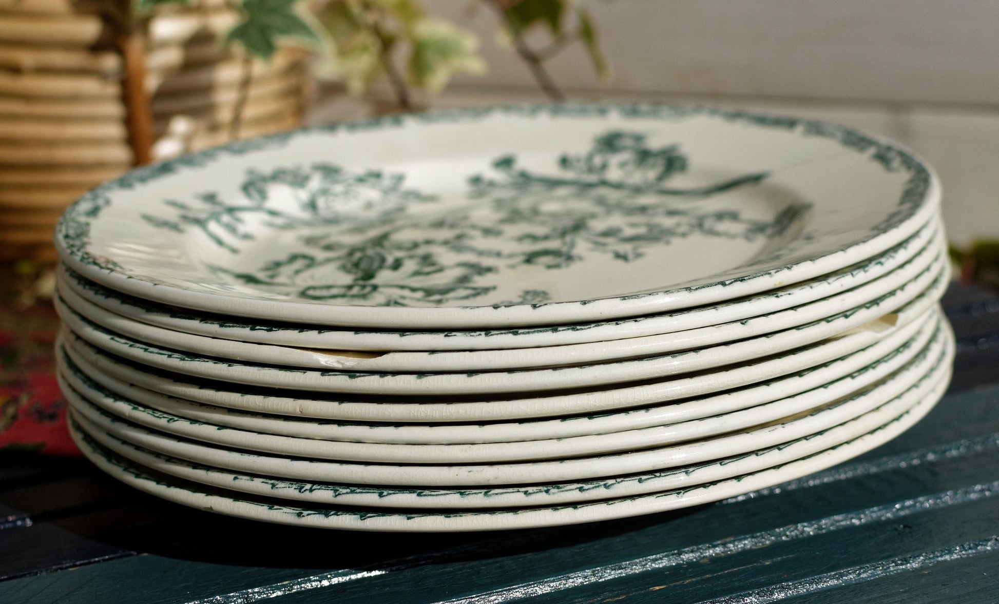 French Ironstone Green Transferware Dinner Plate Datura Bordeaux J.V & Cie JULES VIEILLARD Terre de Fer