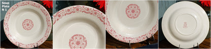 French Ironstone Red Transferware Soup Plate Porcelaine Opaque de GIEN Biarritz terre de fer