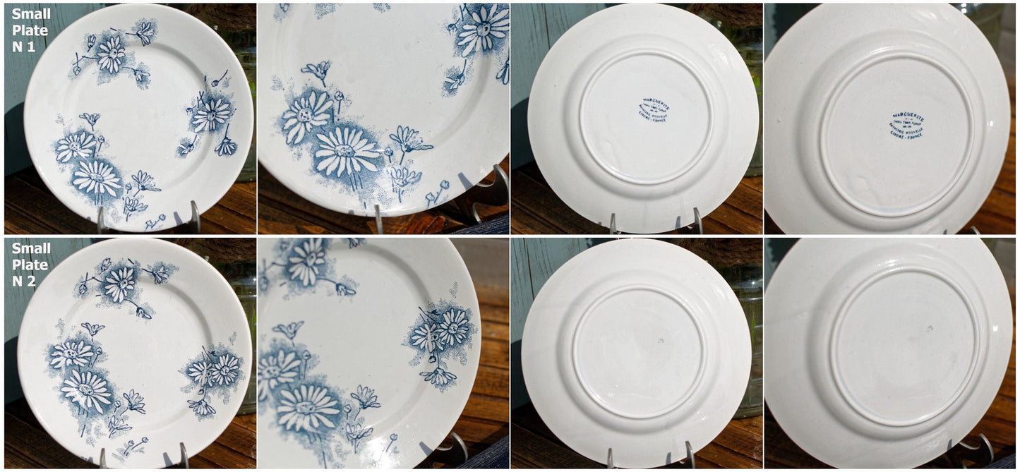 French Ironstone Blue Transferware Plate MARGUERITE Motif La Faïencerie Nouvelle à Givors France Terre de Fer