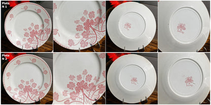 French Ironstone Red Transferware Dinner LUCIEN Motif Luneville K&G (Keller et Guérin) France Terre de Fer