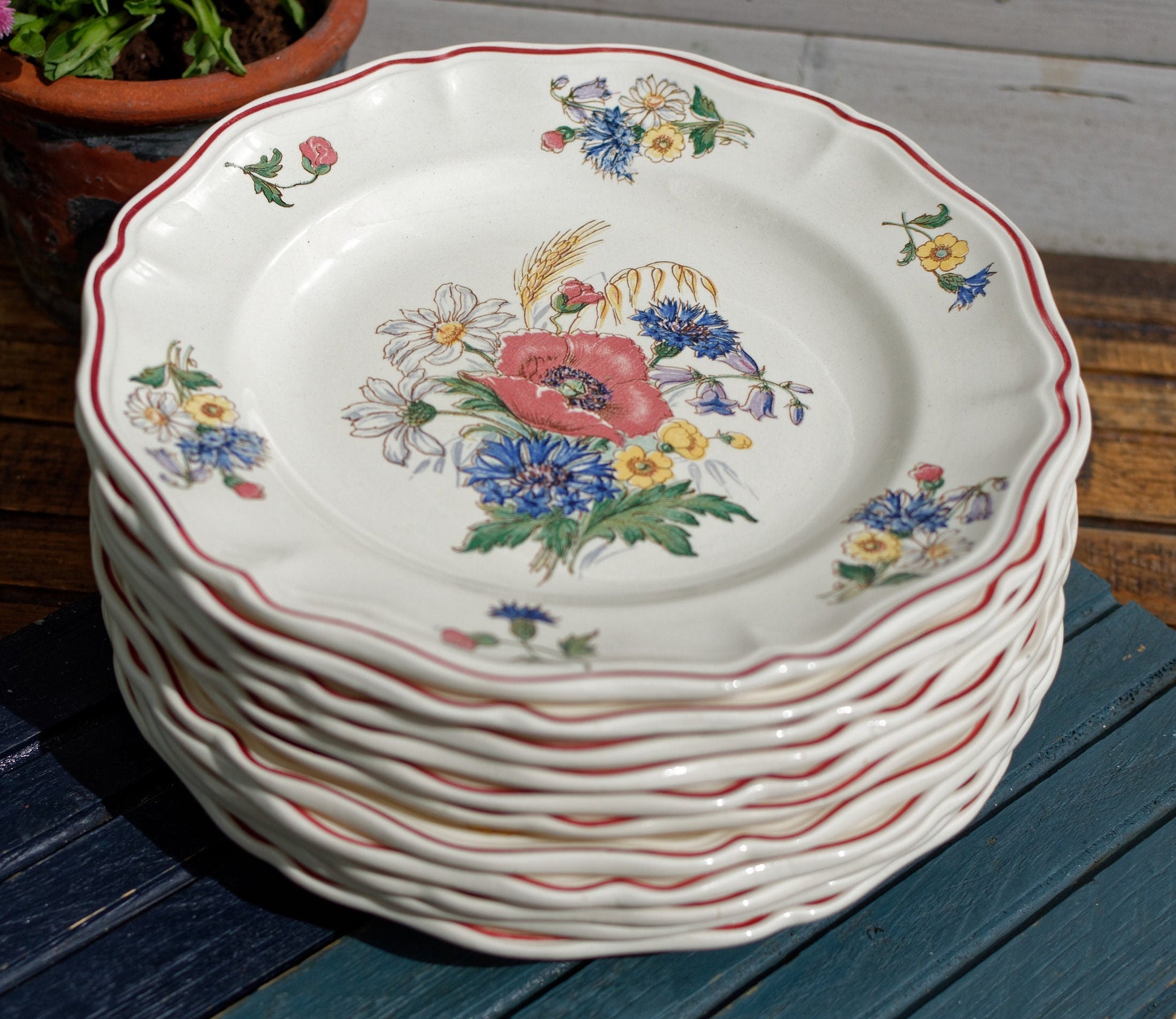 French Ironstone Plate Sarreguemines DIGOIN Agreste terre de fer